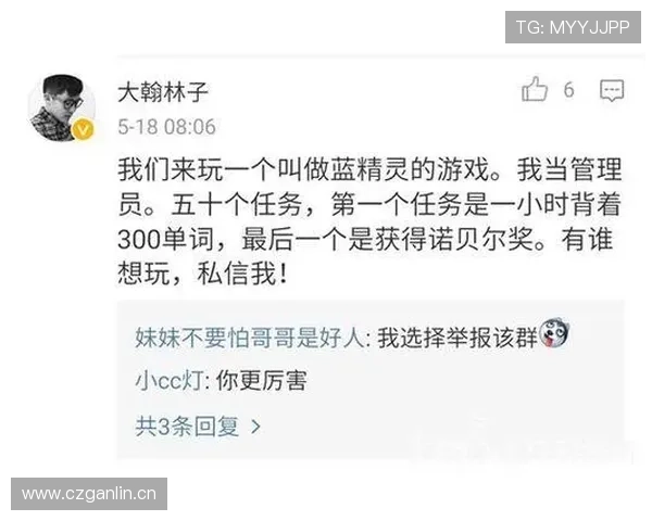 蓝鲸中文站深度解析热门游戏，满足不同玩家的需求